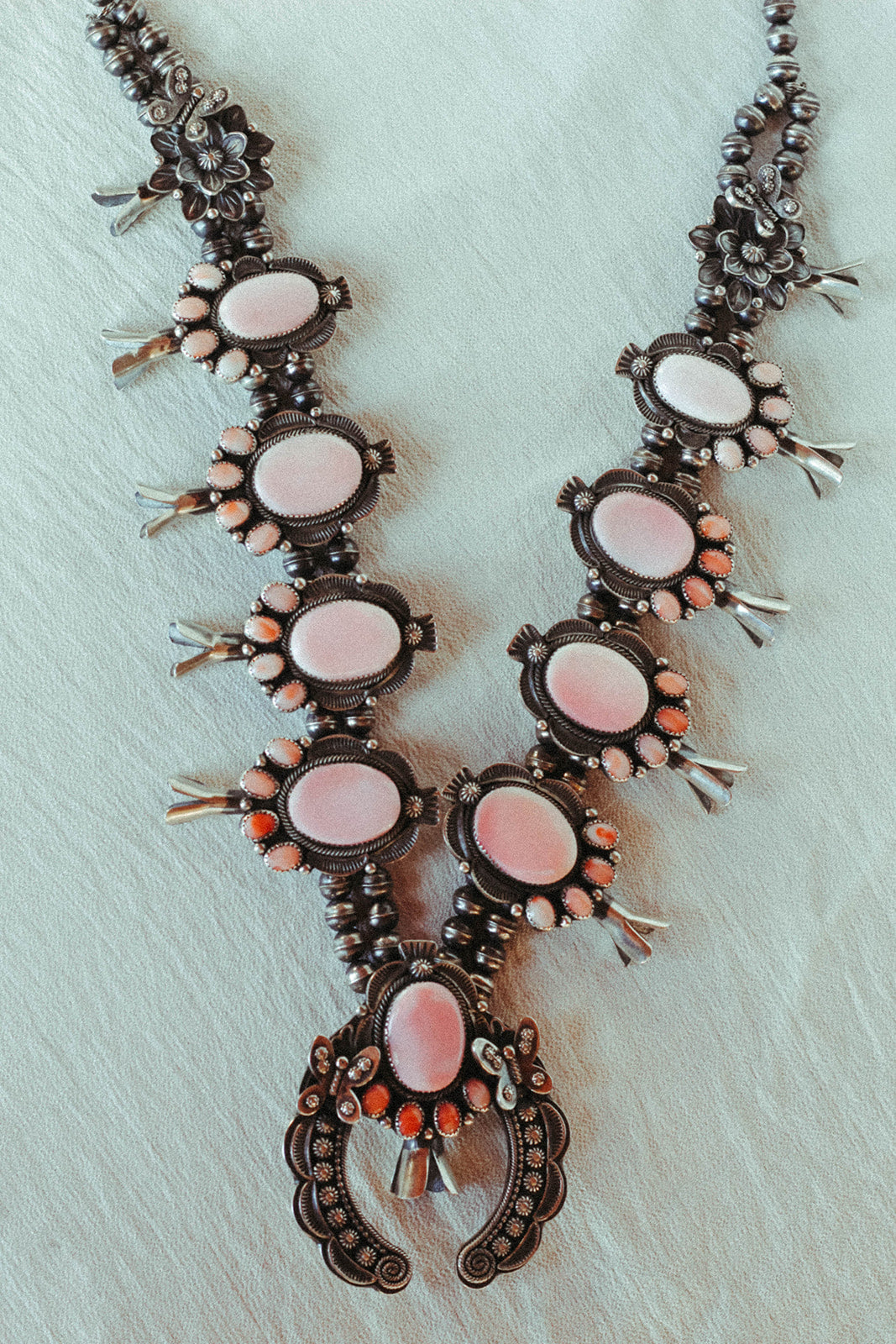 Squash of your Dreams